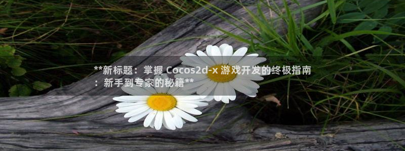 沐鸣娱乐2代理：**新标题：掌握 Cocos2d-x 游戏开发的终极指南
：新手到专家的秘籍**