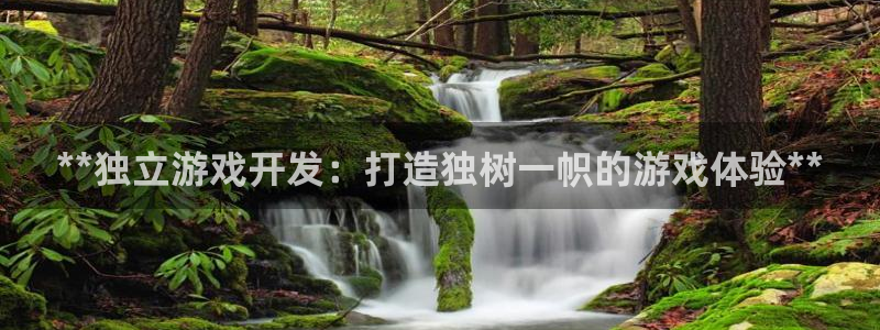 沐鸣2平台注册：**独立游戏开发：打造独树一帜的游戏体验**