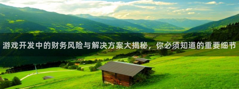 沐鸣2注册丘27337：游戏开发中的财务风险与解决方案大揭秘，你必须知道的重要细节