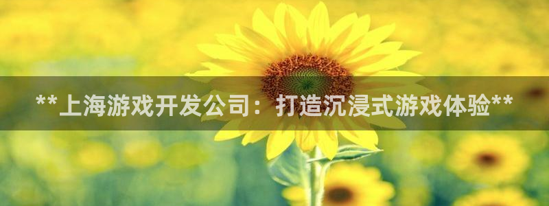 沐鸣2账号注册：**上海游戏开发公司：打造沉浸式游戏体验**
