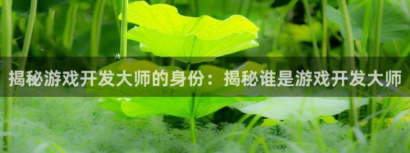 沐鸣2代理官网：揭秘游戏开发大师的身份：揭秘谁是游戏开发大师