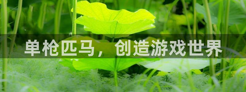 沐鸣娱乐2可靠吗：单枪匹马，创造游戏世界
