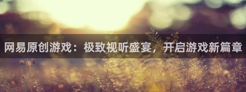 沐鸣2注册说来77542：网易原创游戏：极致视听盛宴，开启游戏新篇章